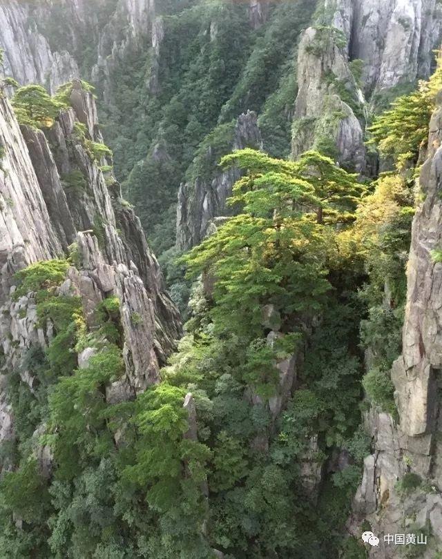 【新春走基层】青海 掘进“英雄岭”